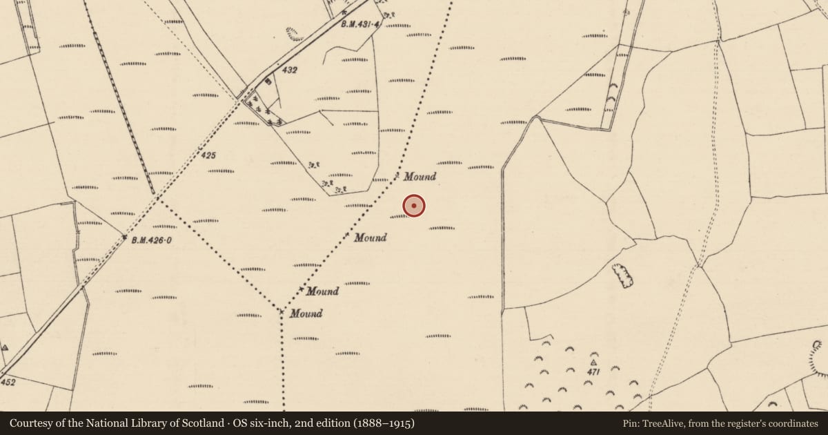 Ordnance Survey six-inch map, 2nd edition (1888–1915) covering the location of Road - class 3 togher, Longfordpass South, County Tipperary North, with a pin at the register's coordinates