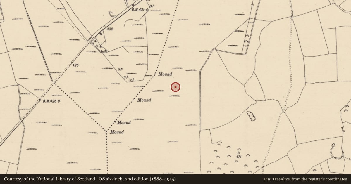 Ordnance Survey six-inch map, 2nd edition (1888–1915) covering the location of Road - class 2 togher, Longfordpass South, County Tipperary North, with a pin at the register's coordinates