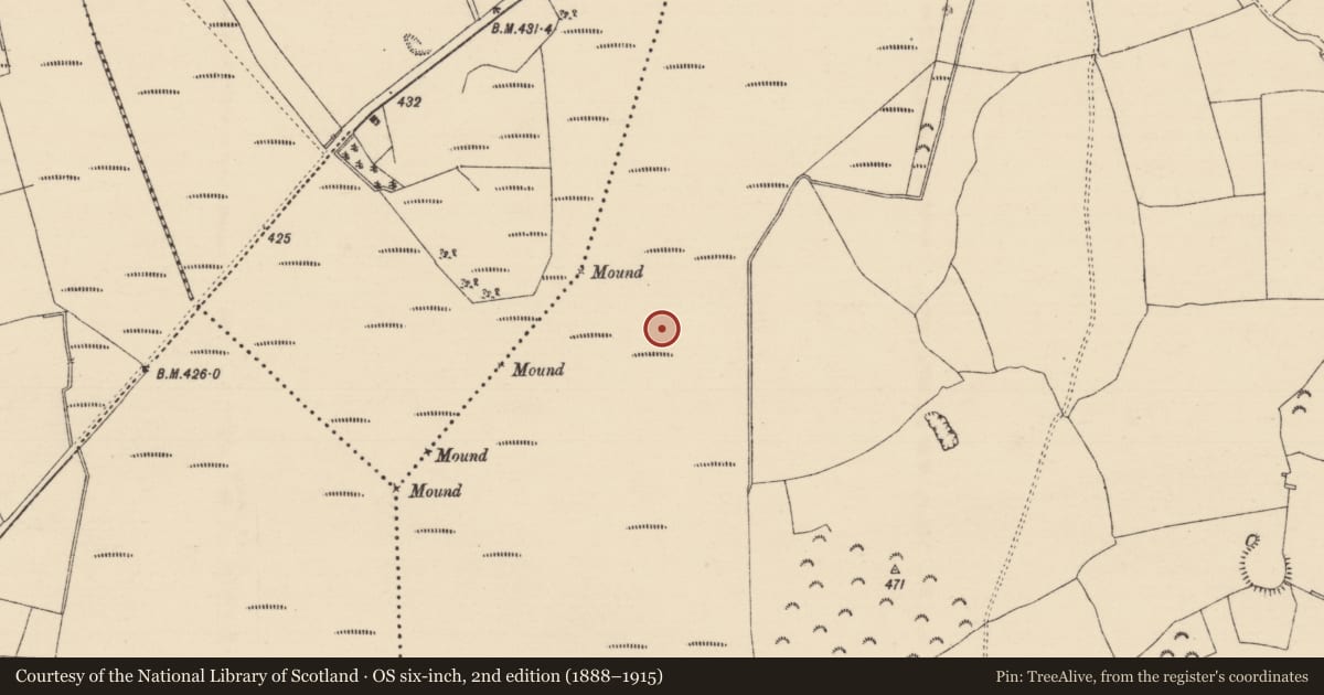 Ordnance Survey six-inch map, 2nd edition (1888–1915) covering the location of Road - class 2 togher, Longfordpass South, County Tipperary North, with a pin at the register's coordinates