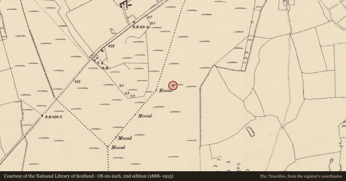 Ordnance Survey six-inch map, 2nd edition (1888–1915) covering the location of Road - class 3 togher, Longfordpass South, County Tipperary North, with a pin at the register's coordinates