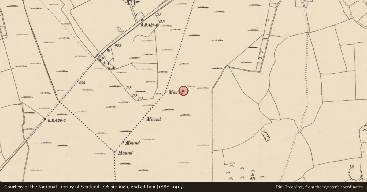 Ordnance Survey six-inch map, 2nd edition (1888–1915) covering the location of Road - class 2 togher, Longfordpass South, County Tipperary North, with a pin at the register's coordinates