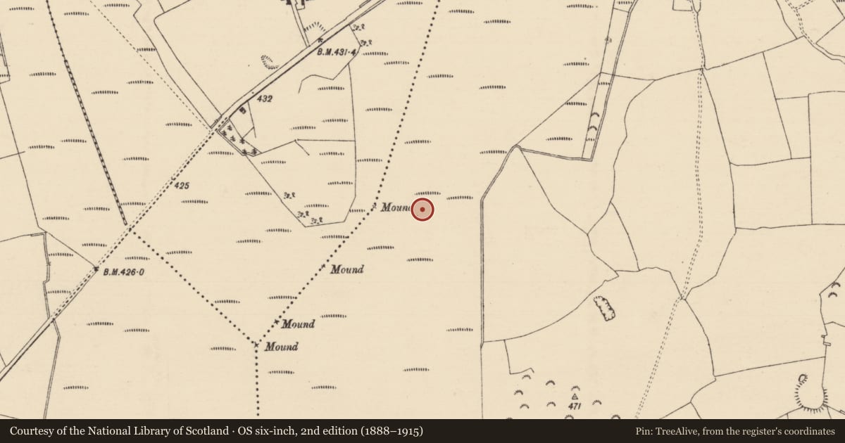 Ordnance Survey six-inch map, 2nd edition (1888–1915) covering the location of Platform - peatland, Longfordpass South, County Tipperary North, with a pin at the register's coordinates