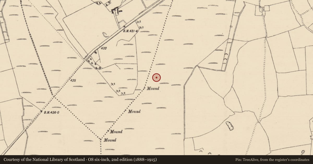 Ordnance Survey six-inch map, 2nd edition (1888–1915) covering the location of Road - unclassified togher, Longfordpass South, County Tipperary North, with a pin at the register's coordinates