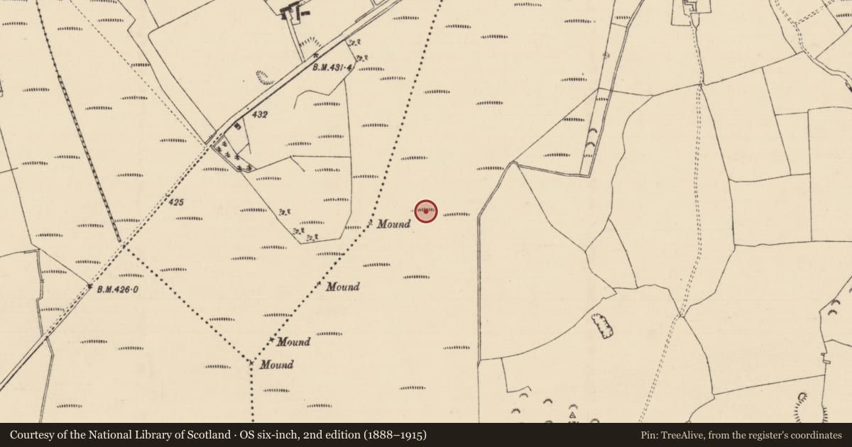 Ordnance Survey six-inch map, 2nd edition (1888–1915) covering the location of Platform - peatland, Longfordpass South, County Tipperary North, with a pin at the register's coordinates