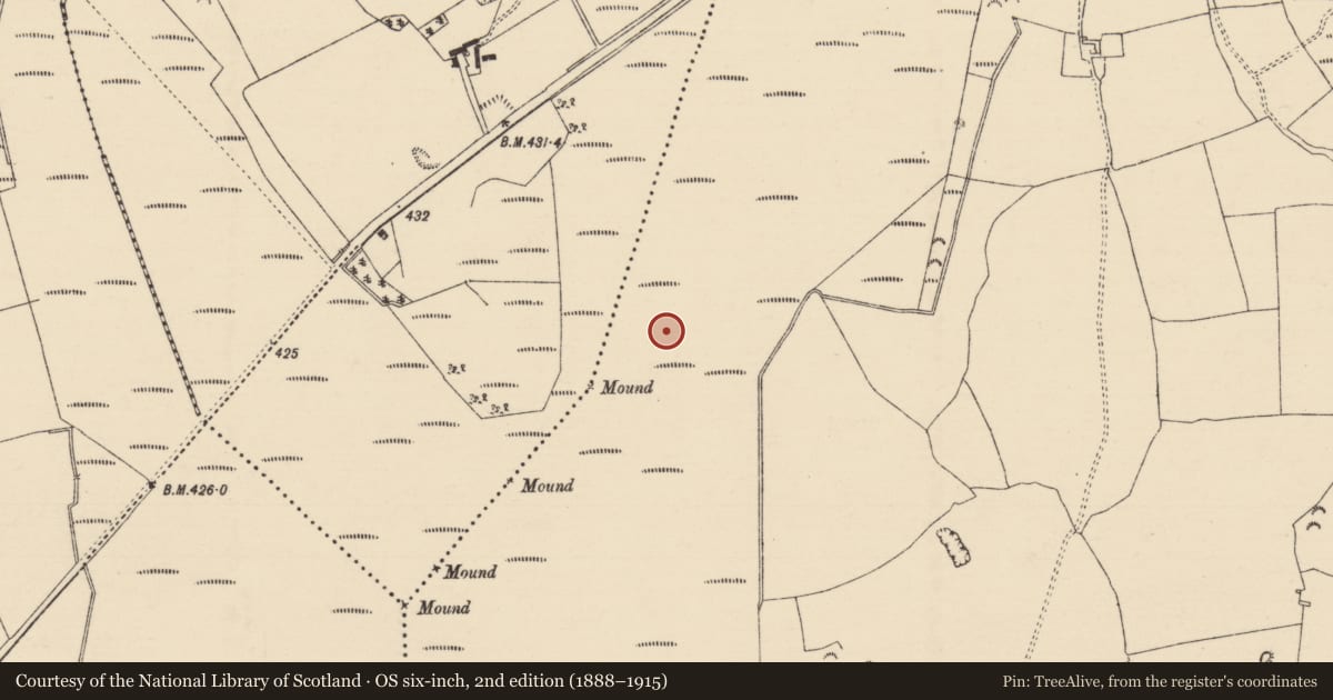 Ordnance Survey six-inch map, 2nd edition (1888–1915) covering the location of Platform - peatland, Longfordpass South, County Tipperary North, with a pin at the register's coordinates