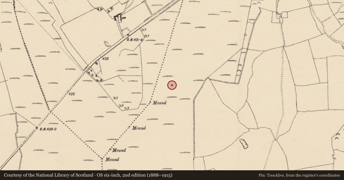 Ordnance Survey six-inch map, 2nd edition (1888–1915) covering the location of Road - class 2 togher, Longfordpass South, County Tipperary North, with a pin at the register's coordinates