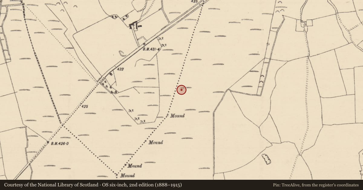 Ordnance Survey six-inch map, 2nd edition (1888–1915) covering the location of Road - class 1 togher, Longfordpass South, County Tipperary North, with a pin at the register's coordinates
