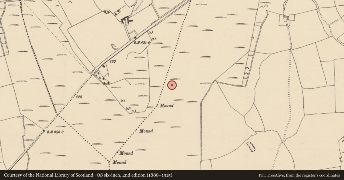 Ordnance Survey six-inch map, 2nd edition (1888–1915) covering the location of Road - unclassified togher, Longfordpass South, County Tipperary North, with a pin at the register's coordinates