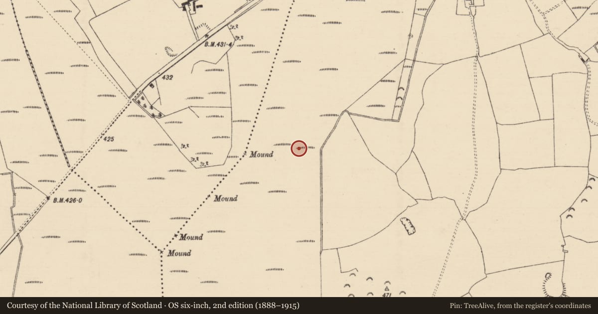 Ordnance Survey six-inch map, 2nd edition (1888–1915) covering the location of Road - class 2 togher, Longfordpass South, County Tipperary North, with a pin at the register's coordinates