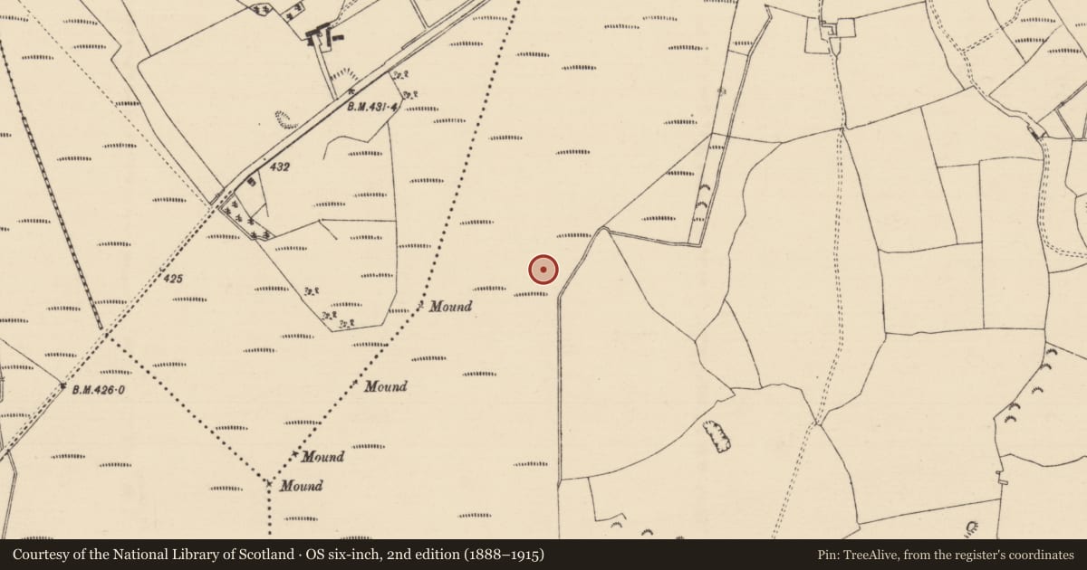 Ordnance Survey six-inch map, 2nd edition (1888–1915) covering the location of Platform - peatland, Longfordpass South, County Tipperary North, with a pin at the register's coordinates