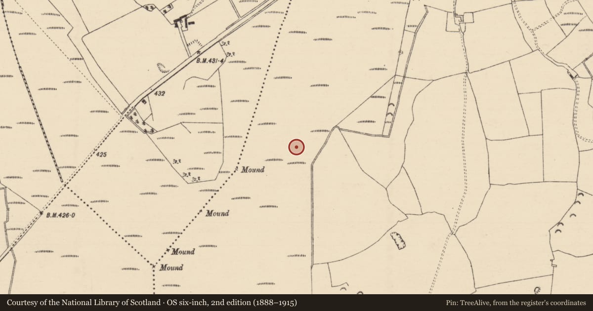 Ordnance Survey six-inch map, 2nd edition (1888–1915) covering the location of Road - class 3 togher, Longfordpass South, County Tipperary North, with a pin at the register's coordinates