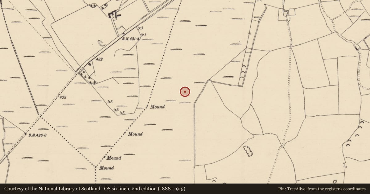 Ordnance Survey six-inch map, 2nd edition (1888–1915) covering the location of Road - unclassified togher, Longfordpass South, County Tipperary North, with a pin at the register's coordinates