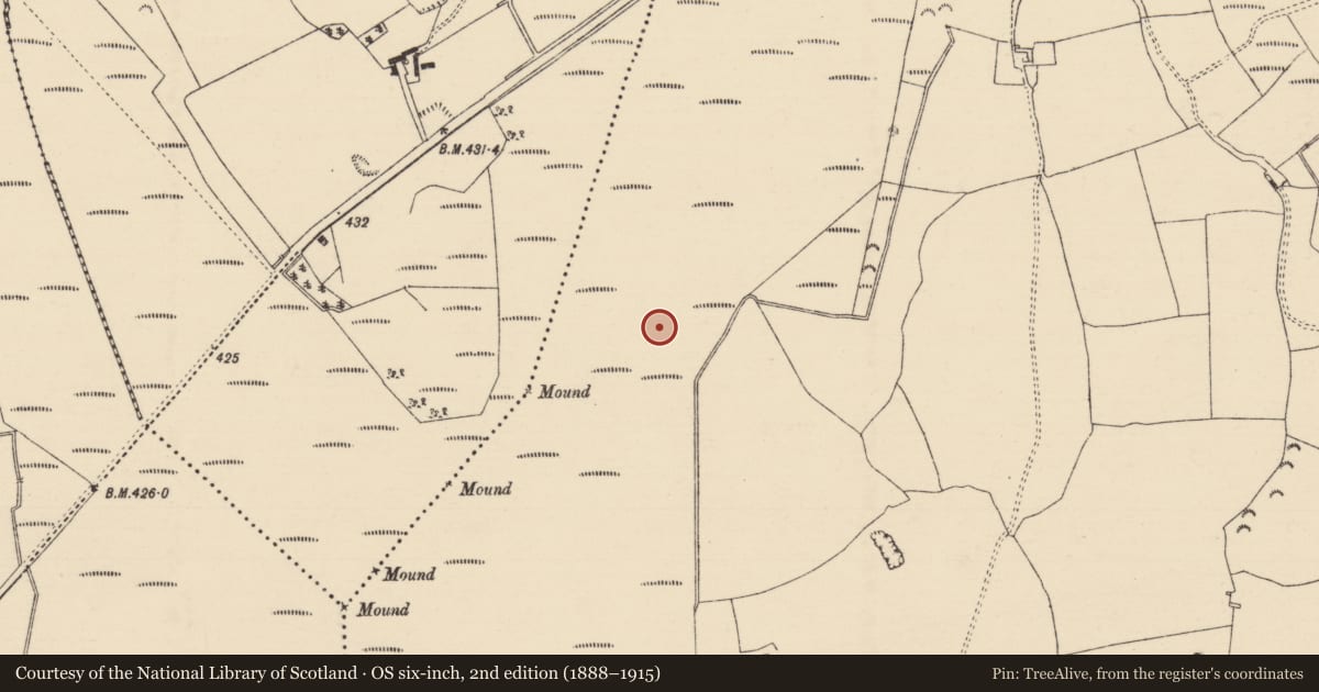 Ordnance Survey six-inch map, 2nd edition (1888–1915) covering the location of Road - class 3 togher, Longfordpass South, County Tipperary North, with a pin at the register's coordinates