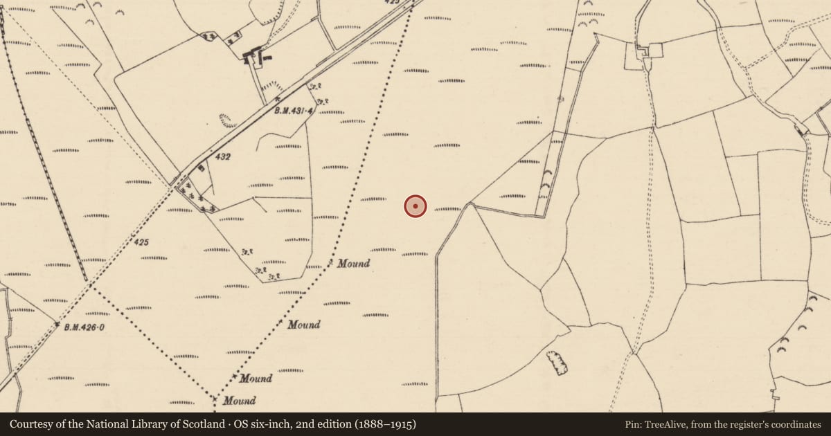 Ordnance Survey six-inch map, 2nd edition (1888–1915) covering the location of Road - class 3 togher, Longfordpass South, County Tipperary North, with a pin at the register's coordinates