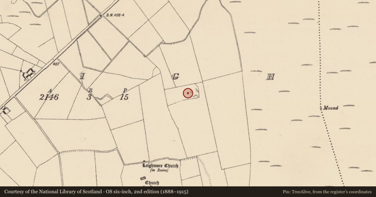 Ordnance Survey six-inch map, 2nd edition (1888–1915) covering the location of Souterrain, Leigh, County Tipperary North, with a pin at the register's coordinates