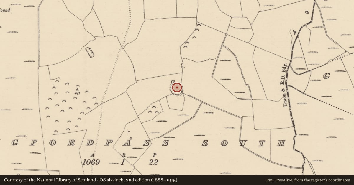 Ordnance Survey six-inch map, 2nd edition (1888–1915) covering the location of Enclosure, Tullahedy, County Tipperary North, with a pin at the register's coordinates