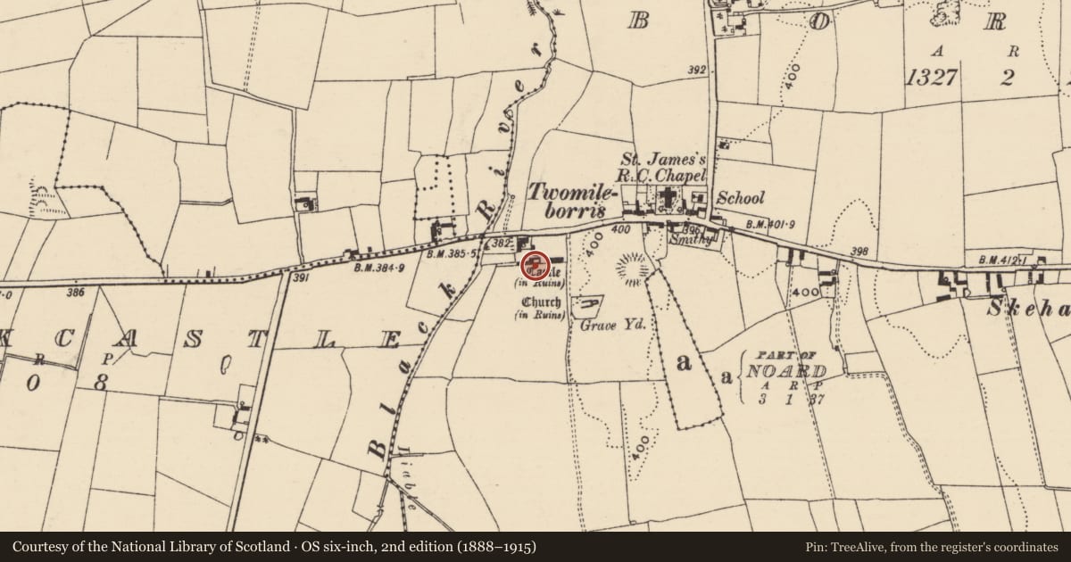 Ordnance Survey six-inch map, 2nd edition (1888–1915) covering the location of Castle - tower house, Borris (Twomileborris Par.), County Tipperary North, with a pin at the register's coordinates