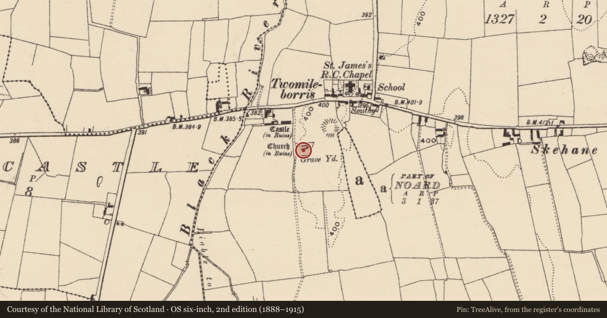 Ordnance Survey six-inch map, 2nd edition (1888–1915) covering the location of Church, Borris (Twomileborris Par.), County Tipperary North, with a pin at the register's coordinates