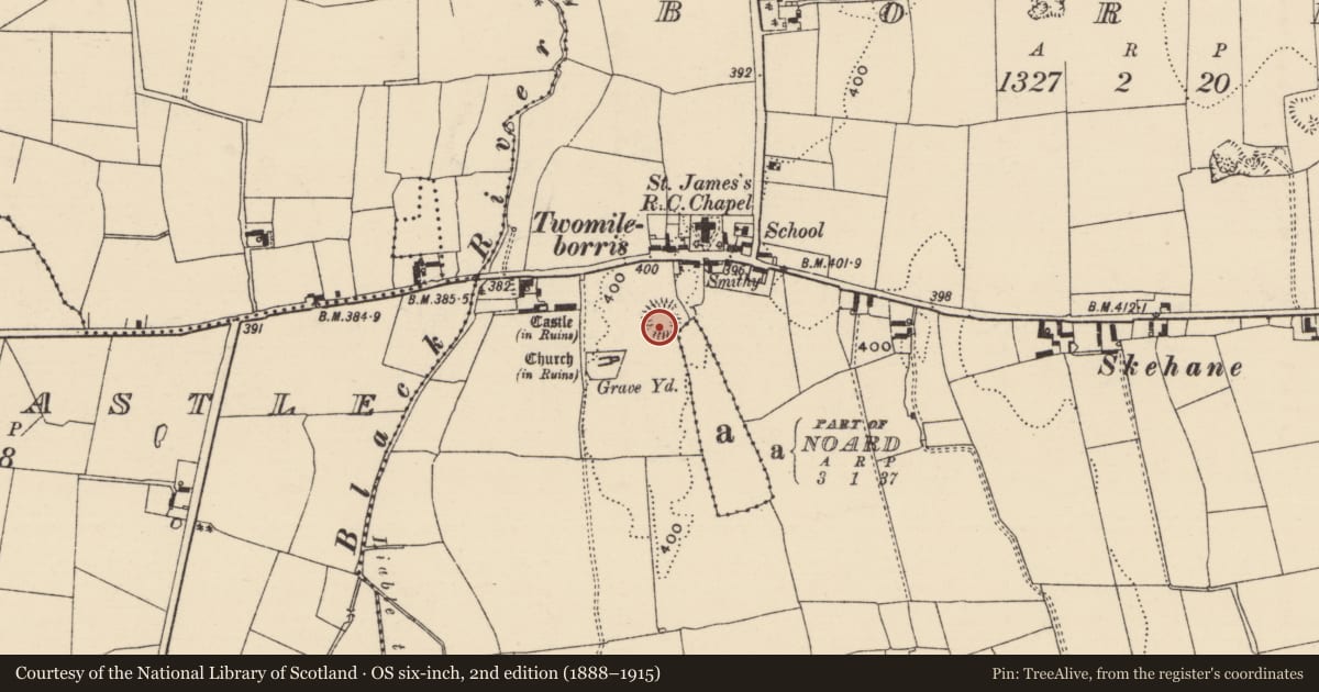 Ordnance Survey six-inch map, 2nd edition (1888–1915) covering the location of Castle - ringwork, Borris (Twomileborris Par.), County Tipperary North, with a pin at the register's coordinates