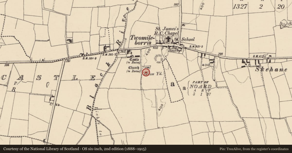 Ordnance Survey six-inch map, 2nd edition (1888–1915) covering the location of Graveslab, Borris (Twomileborris Par.), County Tipperary North, with a pin at the register's coordinates