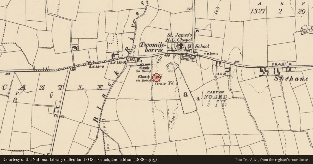 Ordnance Survey six-inch map, 2nd edition (1888–1915) covering the location of Graveyard, Borris (Twomileborris Par.), County Tipperary North, with a pin at the register's coordinates