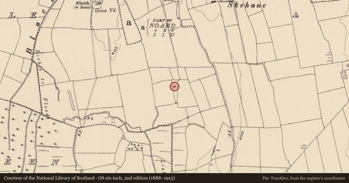 Ordnance Survey six-inch map, 2nd edition (1888–1915) covering the location of Moated site, Borris (Twomileborris Par.), County Tipperary North, with a pin at the register's coordinates
