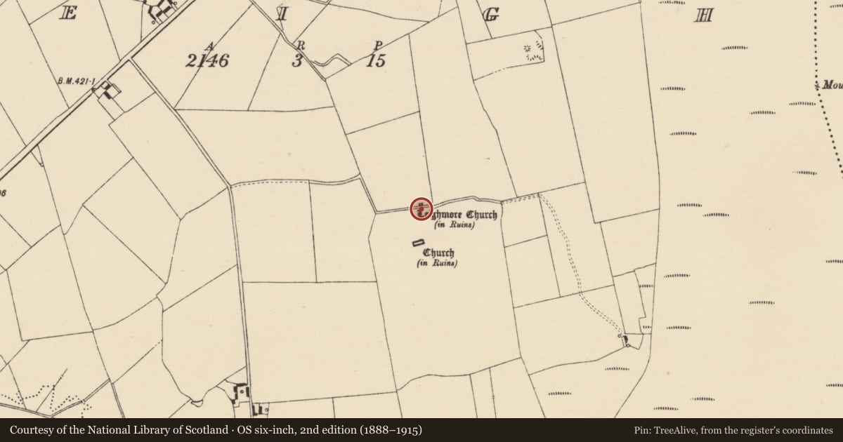 Ordnance Survey six-inch map, 2nd edition (1888–1915) covering the location of Sheela-na-gig, Leigh, County Tipperary North, with a pin at the register's coordinates