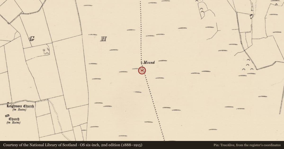 Ordnance Survey six-inch map, 2nd edition (1888–1915) covering the location of Road - unclassified togher, Leigh, Longfordpass South, County Tipperary North, with a pin at the register's coordinates