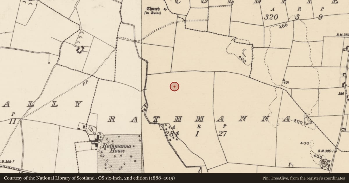 Ordnance Survey six-inch map, 2nd edition (1888–1915) covering the location of Souterrain, Rathmanna (Twomileborris Par.), County Tipperary North, with a pin at the register's coordinates