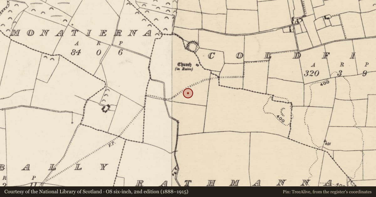 Ordnance Survey six-inch map, 2nd edition (1888–1915) covering the location of Enclosure, Rathmanna (Rahelty Par.), County Tipperary North, with a pin at the register's coordinates