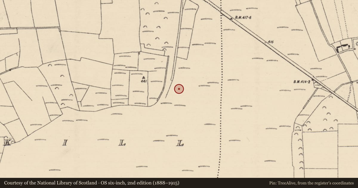 Ordnance Survey six-inch map, 2nd edition (1888–1915) covering the location of Road - class 1 togher, Longfordpass North, Kilmakill, County Tipperary North, with a pin at the register's coordinates