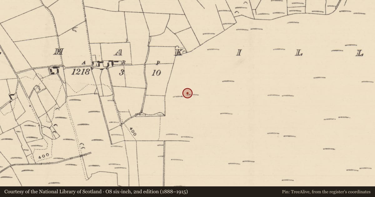 Ordnance Survey six-inch map, 2nd edition (1888–1915) covering the location of Road - class 3 togher, Kilmakill, County Tipperary North, with a pin at the register's coordinates