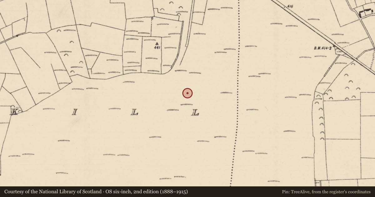 Ordnance Survey six-inch map, 2nd edition (1888–1915) covering the location of Road - class 2 togher, Kilmakill, County Tipperary North, with a pin at the register's coordinates