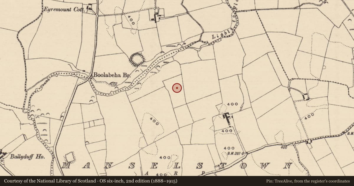 Ordnance Survey six-inch map, 2nd edition (1888–1915) covering the location of Enclosure - large enclosure, Manselstown, County Tipperary North, with a pin at the register's coordinates