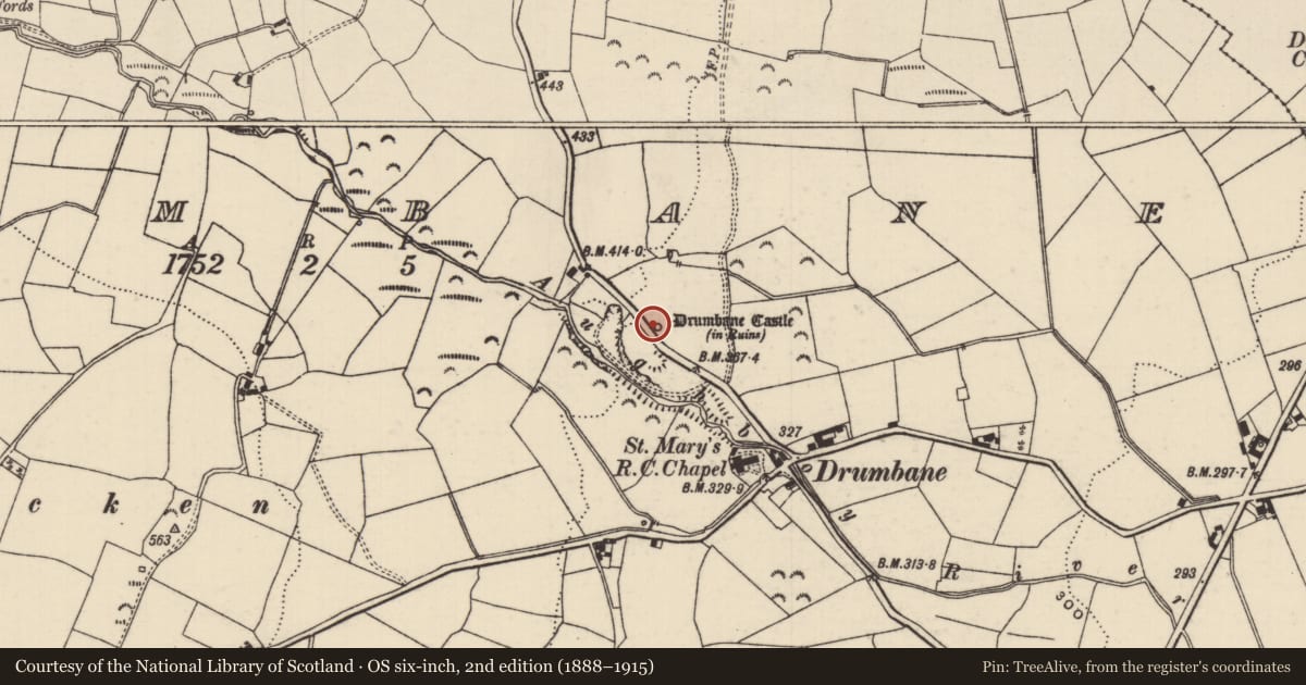 Ordnance Survey six-inch map, 2nd edition (1888–1915) covering the location of Castle - tower house, Drumbane (Moyaliff Par.), County Tipperary North, with a pin at the register's coordinates