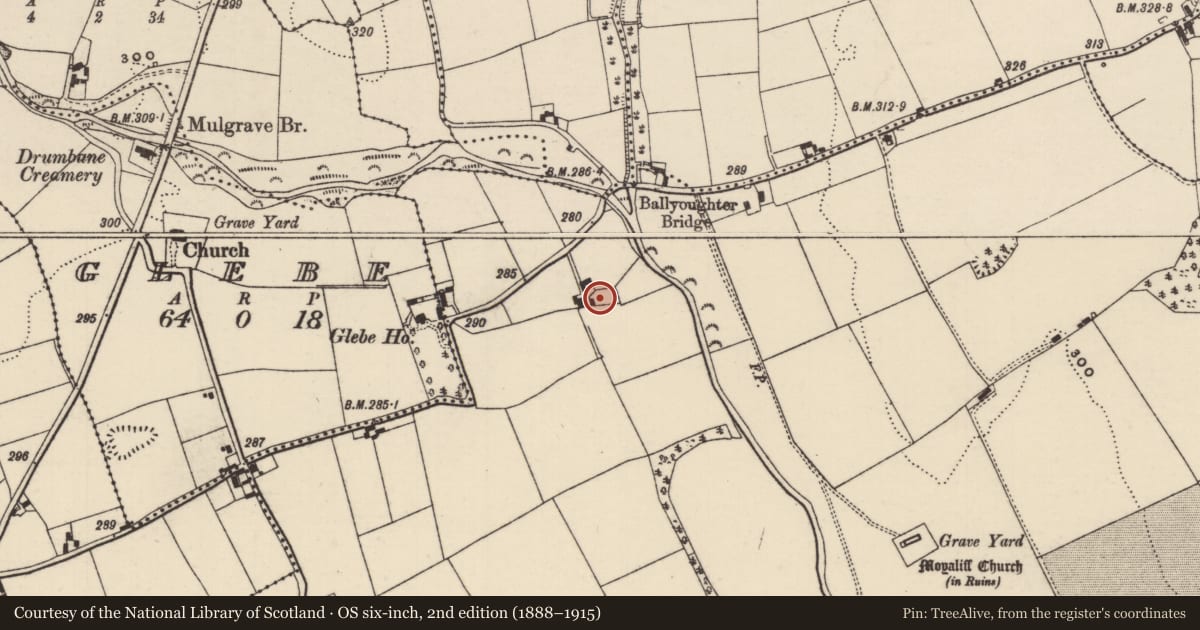 Ordnance Survey six-inch map, 2nd edition (1888–1915) covering the location of Water mill - unclassified, Moyaliff, County Tipperary North, with a pin at the register's coordinates