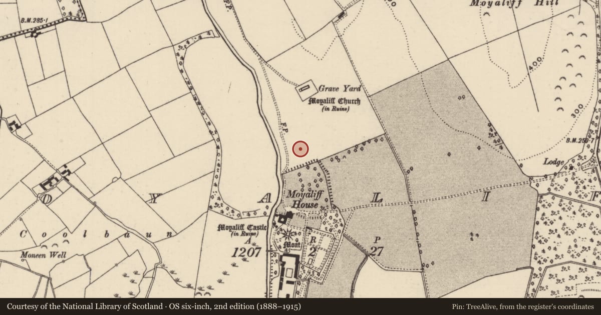 Ordnance Survey six-inch map, 2nd edition (1888–1915) covering the location of Settlement deserted - medieval, Moyaliff, County Tipperary North, with a pin at the register's coordinates