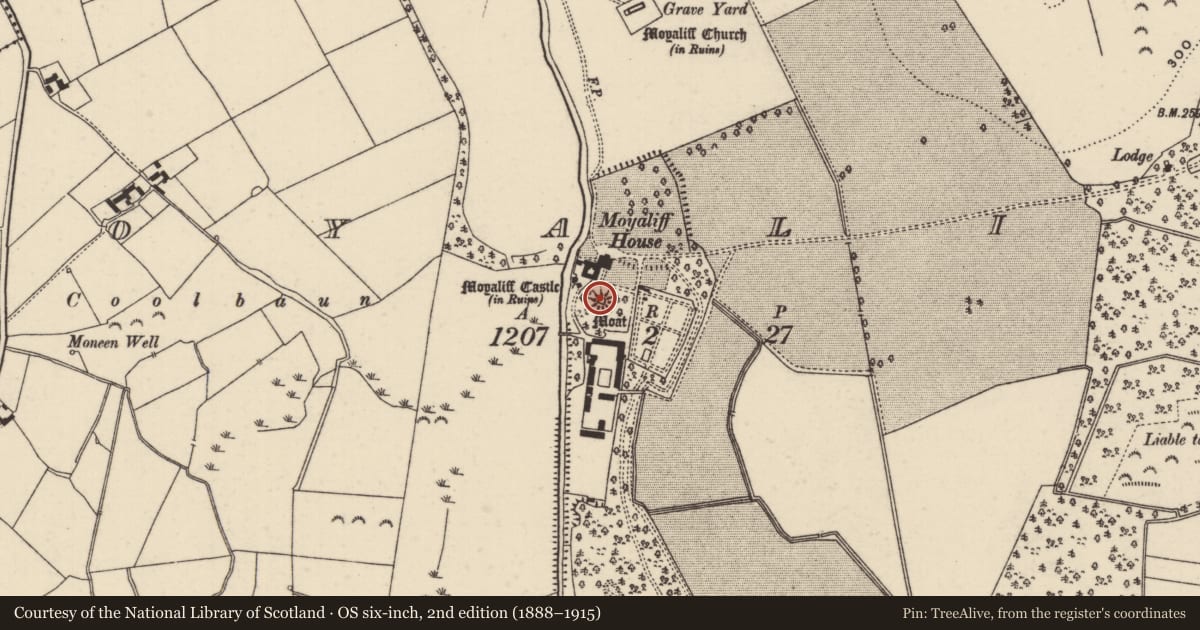 Ordnance Survey six-inch map, 2nd edition (1888–1915) covering the location of Castle - Anglo-Norman masonry castle, Moyaliff, County Tipperary North, with a pin at the register's coordinates