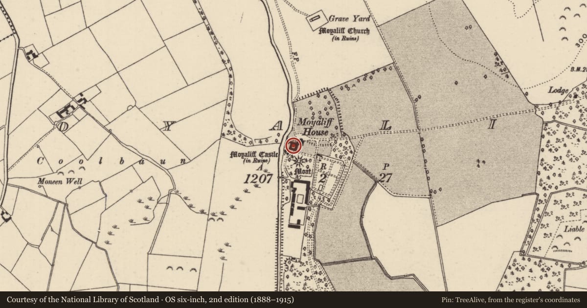 Ordnance Survey six-inch map, 2nd edition (1888–1915) covering the location of House - 18th/19th century, Moyaliff, County Tipperary North, with a pin at the register's coordinates