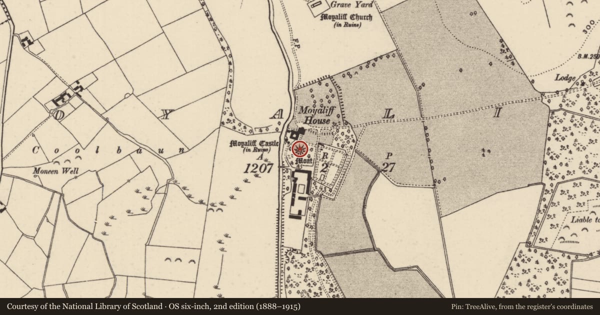 Ordnance Survey six-inch map, 2nd edition (1888–1915) covering the location of Castle - motte, Moyaliff, County Tipperary North, with a pin at the register's coordinates