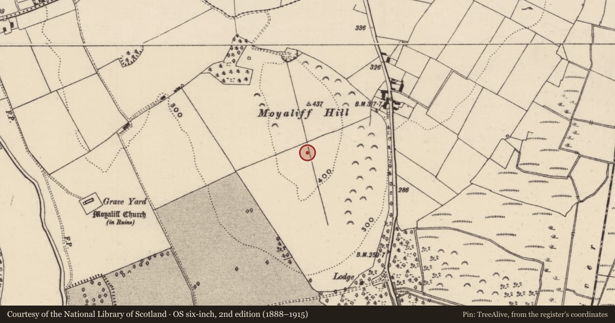 Ordnance Survey six-inch map, 2nd edition (1888–1915) covering the location of Enclosure, Moyaliff, County Tipperary North, with a pin at the register's coordinates