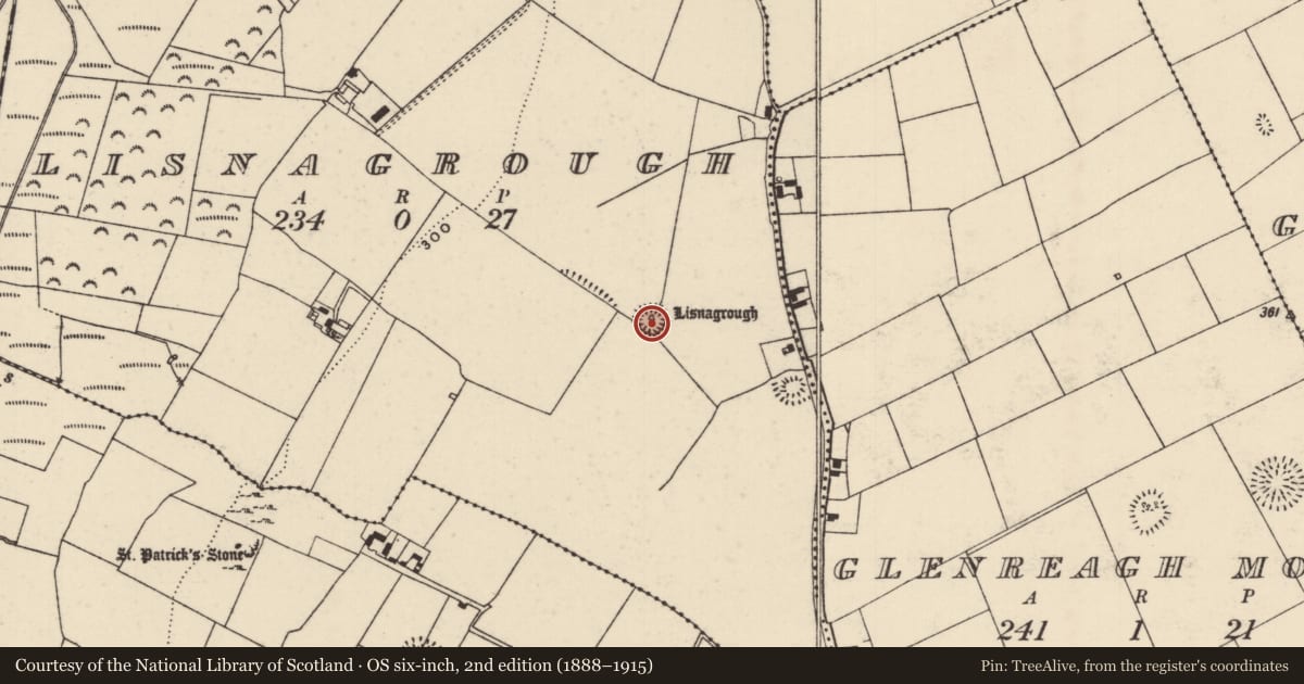 Ordnance Survey six-inch map, 2nd edition (1888–1915) covering the location of Ringfort - rath, Lisnagrough, County Tipperary North, with a pin at the register's coordinates