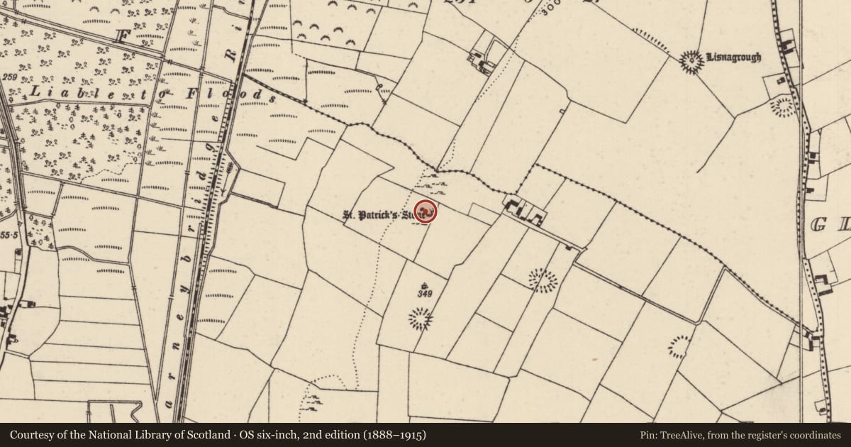 Ordnance Survey six-inch map, 2nd edition (1888–1915) covering the location of Ritual site - holy/saint's stone, Grange (Holycross Par.), County Tipperary North, with a pin at the register's coordinates