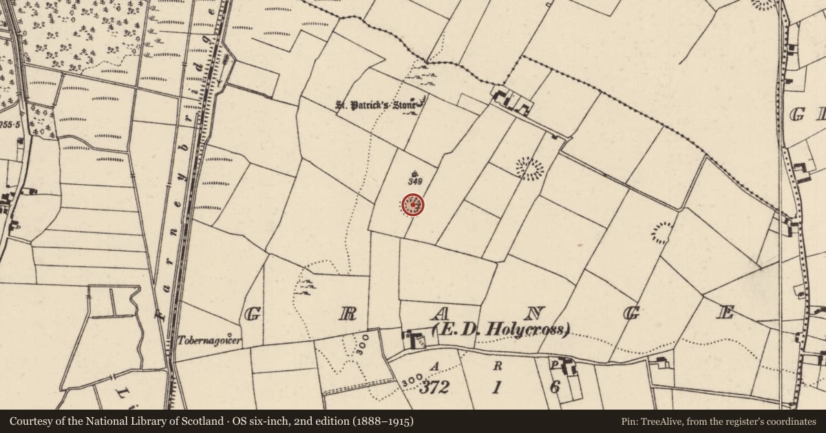 Ordnance Survey six-inch map, 2nd edition (1888–1915) covering the location of Ringfort - rath, Grange (Holycross Par.), County Tipperary North, with a pin at the register's coordinates