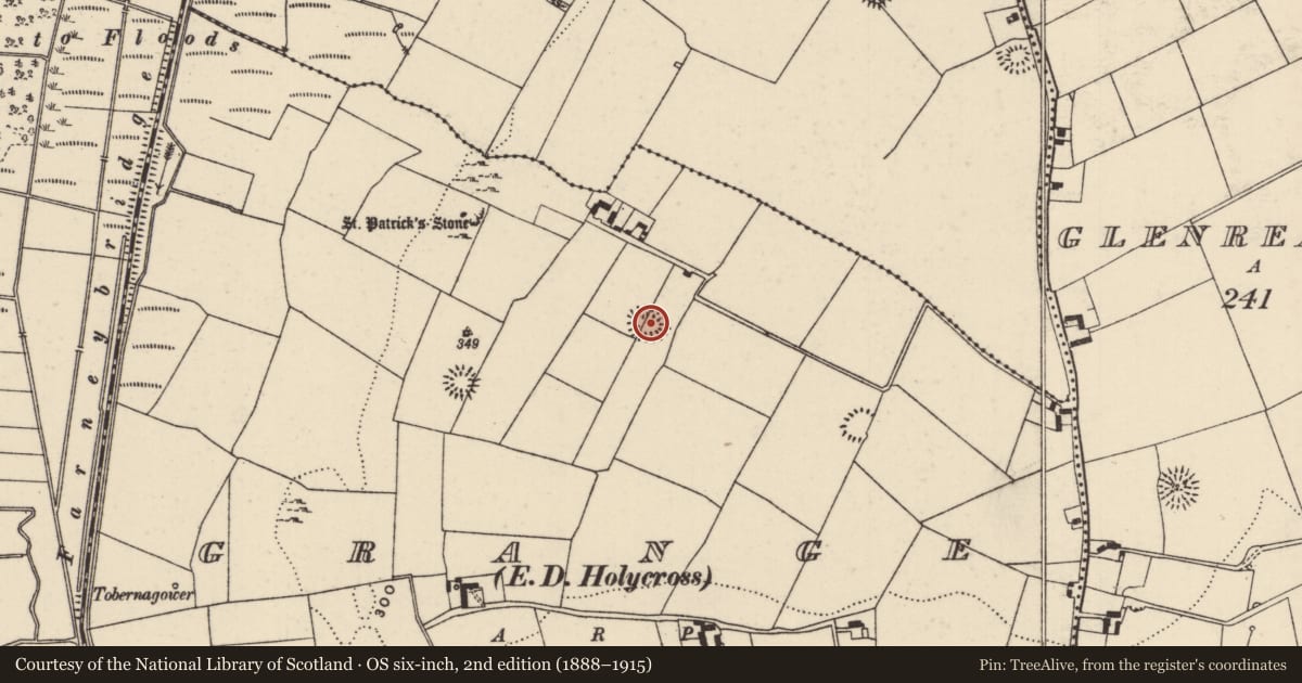 Ordnance Survey six-inch map, 2nd edition (1888–1915) covering the location of House - indeterminate date, Grange (Holycross Par.), County Tipperary North, with a pin at the register's coordinates