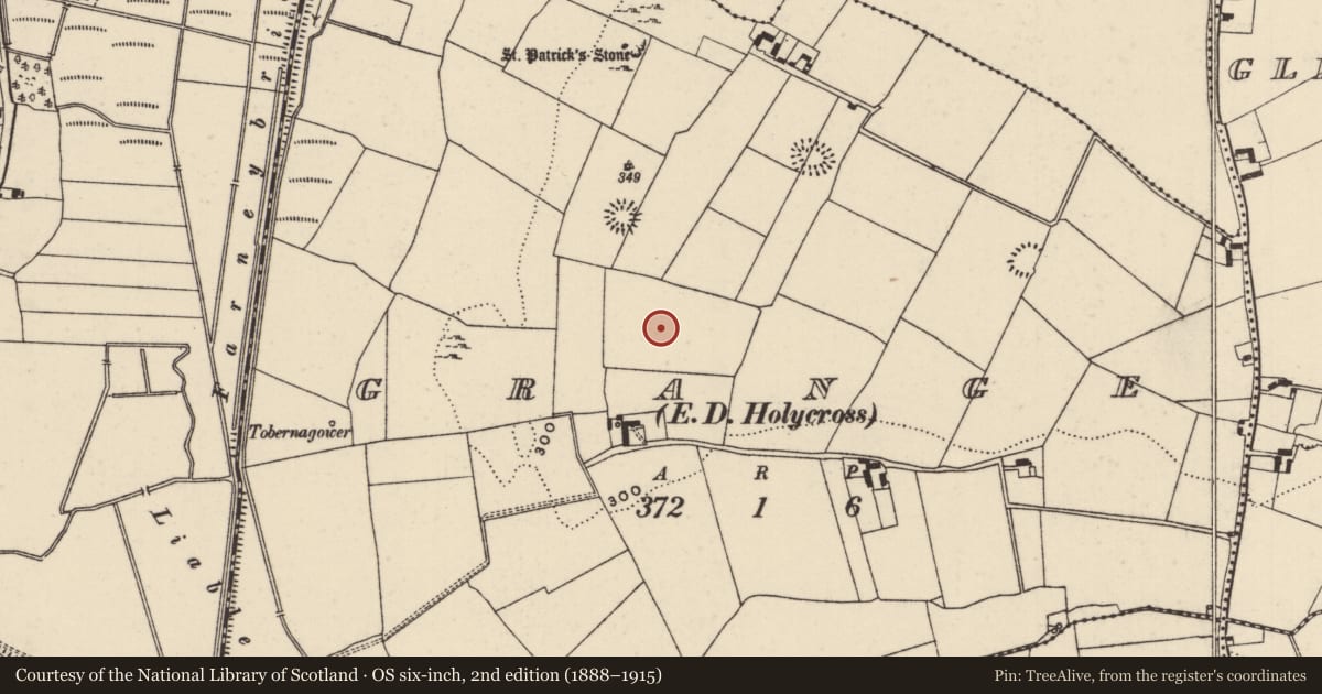 Ordnance Survey six-inch map, 2nd edition (1888–1915) covering the location of Enclosure, Grange (Holycross Par.), County Tipperary North, with a pin at the register's coordinates