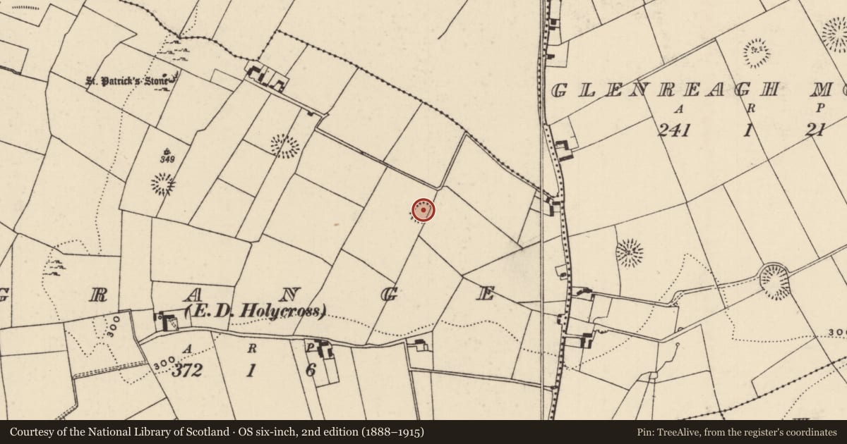 Ordnance Survey six-inch map, 2nd edition (1888–1915) covering the location of Castle - ringwork, Grange (Holycross Par.), County Tipperary North, with a pin at the register's coordinates