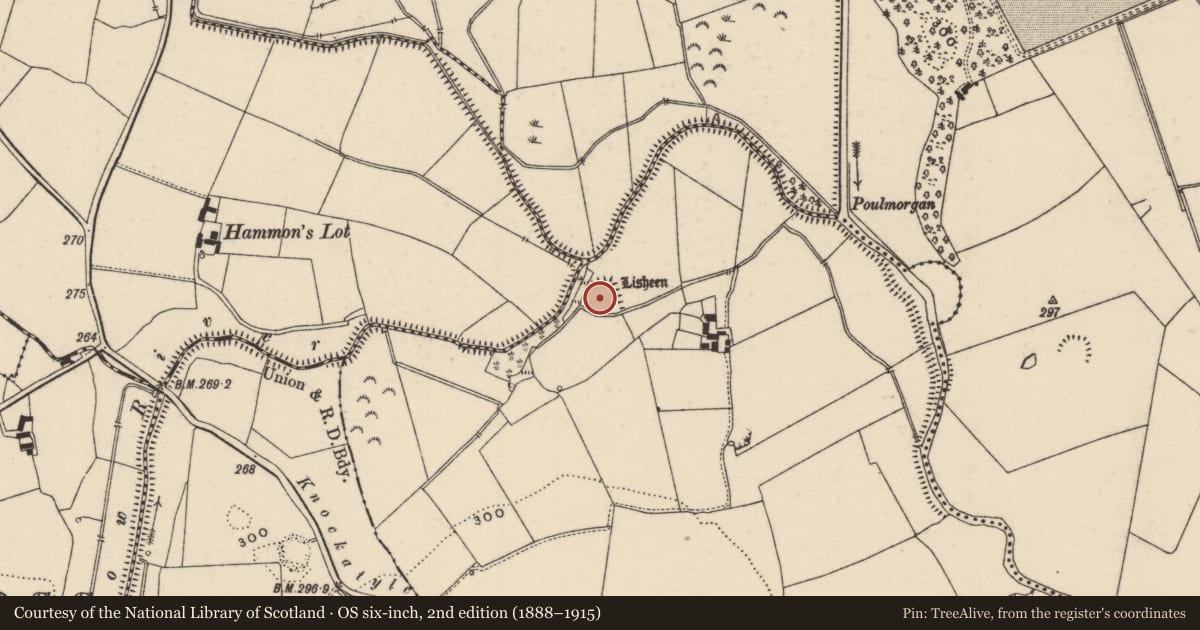 Ordnance Survey six-inch map, 2nd edition (1888–1915) covering the location of Moated site, Lisheen (Moyaliff Par.), County Tipperary North, with a pin at the register's coordinates