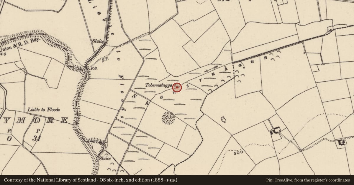 Ordnance Survey six-inch map, 2nd edition (1888–1915) covering the location of Ritual site - holy well, Grange (Holycross Par.), County Tipperary North, with a pin at the register's coordinates