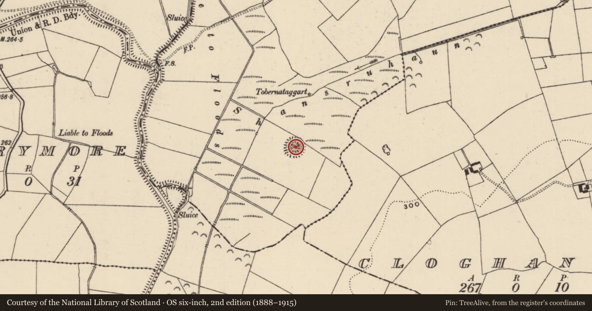 Ordnance Survey six-inch map, 2nd edition (1888–1915) covering the location of Enclosure, Grange (Holycross Par.), County Tipperary North, with a pin at the register's coordinates